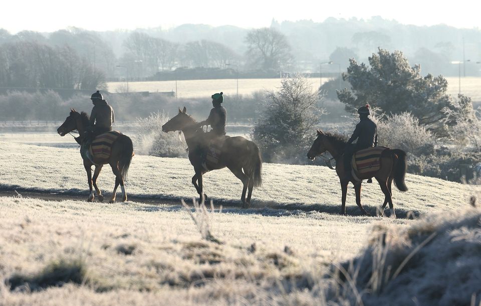 Horses in a frost-covered Curragh, Co Kildare. Photo: Damien Eagers